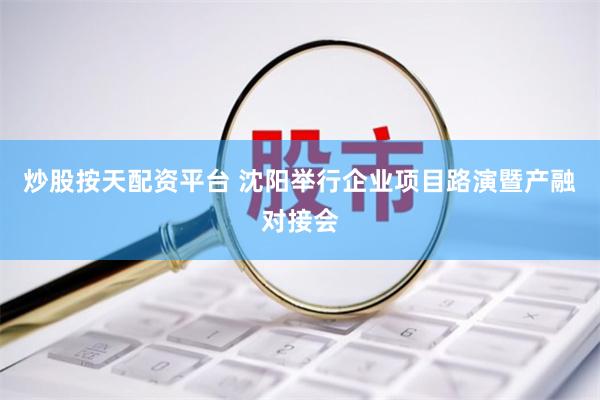 炒股按天配资平台 沈阳举行企业项目路演暨产融对接会