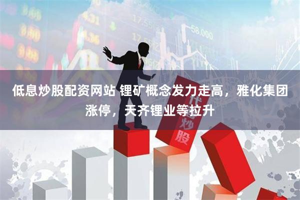 低息炒股配资网站 锂矿概念发力走高，雅化集团涨停，天齐锂业等